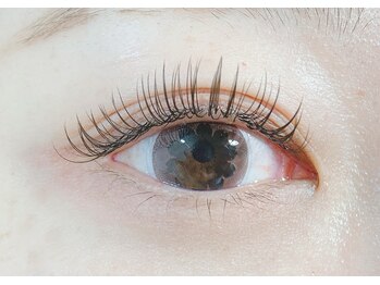 エイトラッシュ(8-lash)/dark moca