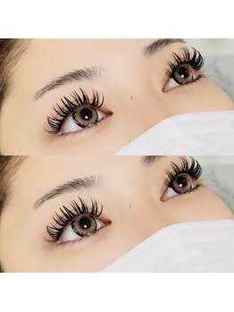 ウニカラッシュ(Unica lush)/バインドロック160束