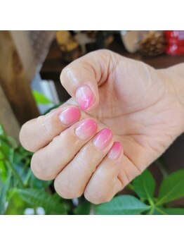 ブリリアントフェニックス(Brilliant Phoenix)/ピンクグラデーション