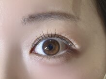 ミイプ(MEPP)/たにわき担当☆ラッシュリフト