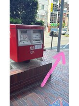 プルティティア(Pultitia)/