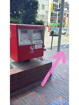 プルティティア(Pultitia)/