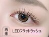 【束感】［低刺激+持ちup!] LEDフラットラッシュ60本　￥6000