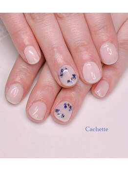 カシェット(Cachette)/定額アート