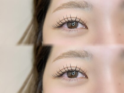 エル(elle)の写真