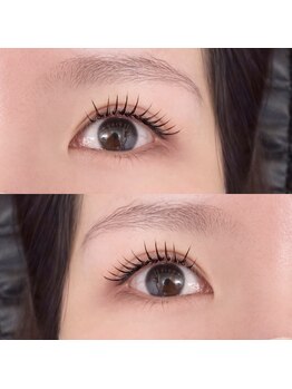 アイラッシュ ケイト(Eyelash Kate)/アンドヘルシー フラット120本