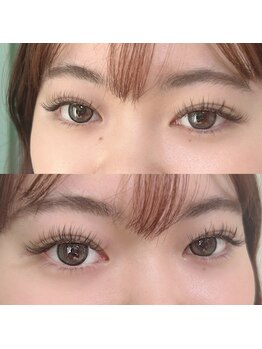 ジョリー(Jolie)/