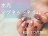 ご新規様オフ無料★微粒子水光マグネットネイル