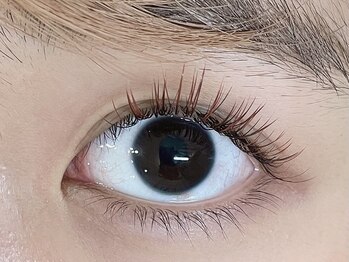 プリジュール(Pljoul)/ALLカラーエクステ/SCカール