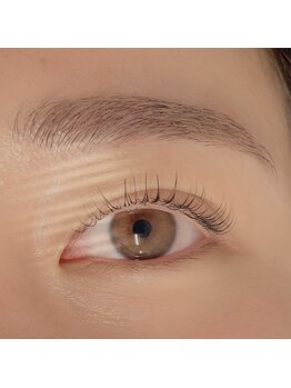 ディーメイプル(D maple)/まつ毛パーマ ¥6000