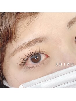 シロ(SHIRO)/まつ毛パーマ