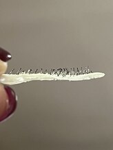 シャンティ(Shanti)/髭がまるで剣山？！