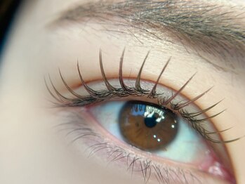 マロウアイラッシュ(mallow eyelash)