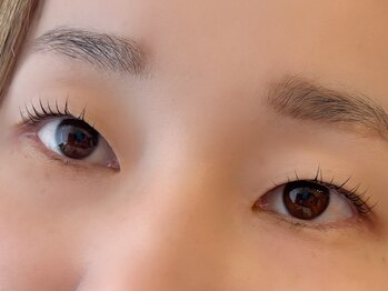 エフ(F...)/まつげパーマ