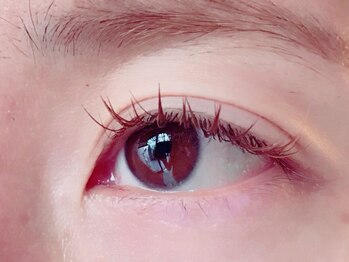 カバー(COVER)/カーキブラウン