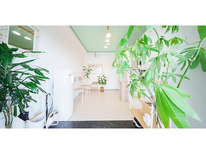 トキハナ アンド アマト(AMATO)の写真