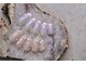アリュールビューティー(Allure beauty)の写真