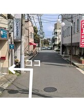 コットン ツリー(Cotton tree)/☆当店までのご案内3☆