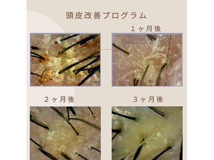 プテア(Phteah)の写真