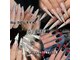 バイムーンサロン(By Moon Salon)の写真