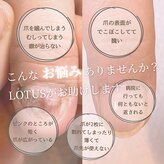ロータス(LOTUS)
