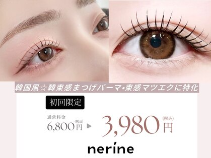 ネリネ 天神(nerine)の写真
