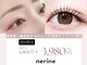 ネリネ 天神(nerine)の写真