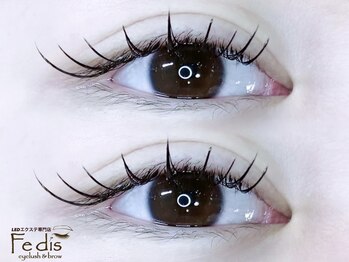 フェディス(Fedis)/LED/ダブルフラットラッシュ