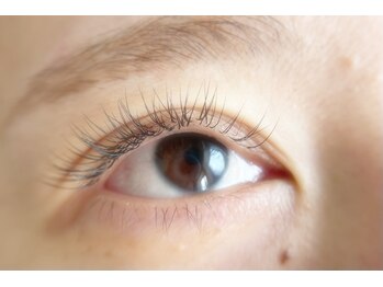 サンフラワー(3flower)/LED LASH 140本