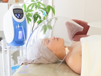 イベリス(Iberis)/九州初O2 to derm