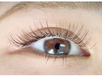 エール(Ailes)/フラットラッシュカラー 150本