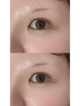 シイプ(SHE:P)/たにむら担当ラッシュリフト
