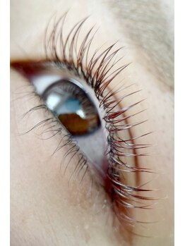 エール(Ailes)/フラットラッシュカラー 150本