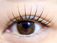 モレプラス(Molek plus)/立ち上げデザイン