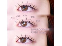 シックドゥアキタ(CHIC de Akita)/[秋田]バインドロック80本