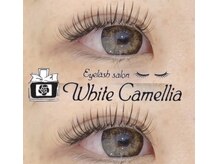 自分のまつ毛の状態の長さ、太さ、量って平均？？