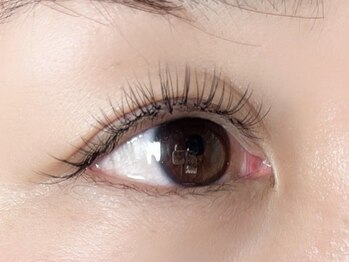 リアリ 市川(LIALI)/最新デザインキープラッシュ80束