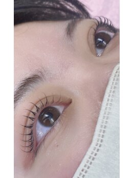 オッジヘアー/まつ毛パーマ、カール　2月正田