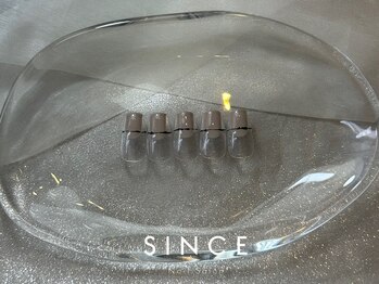 シンス(Since)/1月 monthly/monthly basic