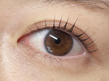 バタフライ 平塚店(Butterfly)/大人気まつげパーマ♪