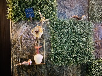 ニドネ(nidone)/森の中で癒しを♪