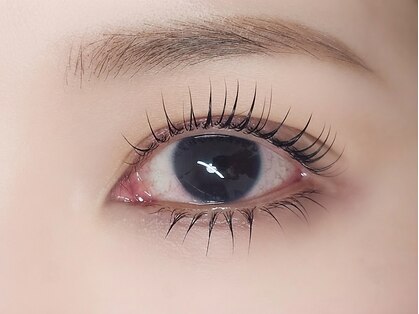 アンアイラッシュ(Ann Eyelash)の写真