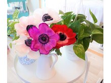 キレイラボ(Ki-Re-i LABO)/季節のお花