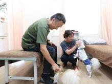 しもえのお整骨院/人懐っこいです.2