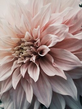 エレストゥ(ERES Tu)/