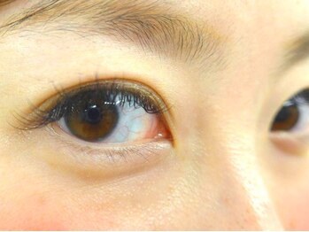 ミエル(miel)/愛らしいぱっちりEYE