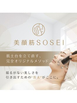 ビクラ スキンケアサロン(BIKURA)/自然なリフトアップテラボーラー