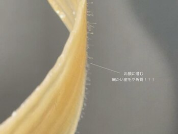 リア(Lia#803)/Fece Wax