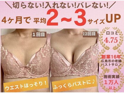 バストサロン メルベイユ(Merveile)の写真