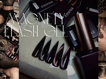 エンヴィネイルズ 豊橋店(envy nails)/magnety flash gel